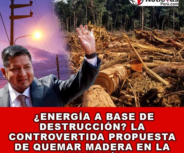  ¿Energía a Base de Destrucción? La Controvertida Propuesta de Quemar Madera en la Amazonía